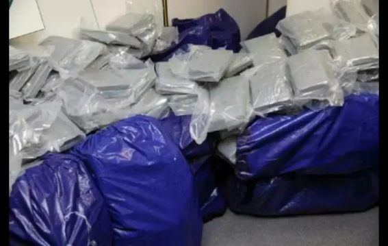 Incredible Yield Woman Caught Smuggling ₹62.6 Crore Worth of Cocaine in Oreo Boxes